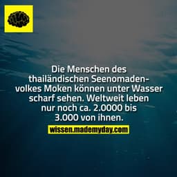 Die Menschen des thailändischen Seenomadenvolkes Moken können unter Wasser scharf sehen. Weltweit leben nur noch ca. 2.0