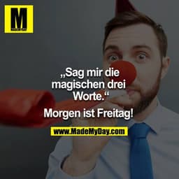 "Sag mir die magischen drei Worte" - "Morgen ist Freitag!" 