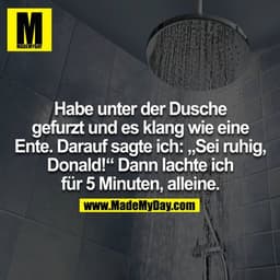 Habe unter der Dusche gefurzt und es klang wie eine Ente. Darauf sagte ich: "Sei ruhig, Donald!" dann lachte ich für 5 M