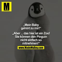 "Mein Baby gehört zu mir!" - "ABER... das hier ist ein Zoo! Sie können den Pinguin nicht einfach so mitnehmen!" 