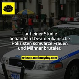 Laut einer Studie behandeln US-amerikanische Polizisten schwarze Frauen und Männer brutaler.