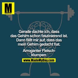 Gerade dachte ich, dass das Gehirn schon faszinierend ist.
Dann fällt mir auf, dass das mein Gehirn gedacht hat.

Arroga