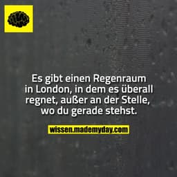 Es gibt einen Regenraum in London, in dem es überall regnet, außer an der Stelle, wo du gerade stehst.