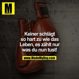 Keiner schlägt so hart zu wie das Leben, es zählt nur was du nun tust!