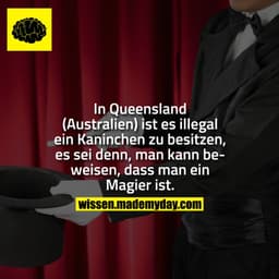 In Queensland (Australien) ist es illegal ein Kaninchen zu besitzen, es sei denn, man kann beweisen, dass man ein Magier