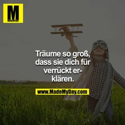 Träume so groß, dass sie dich für verrückt erklären.
