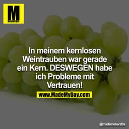 In meinem kernlosen Weintrauben war gerade ein Kern. DESWEGEN habe ich Probleme mit Vertrauen!