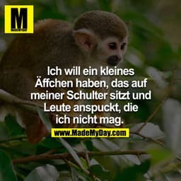 Ich will ein kleines Äffchen haben, das auf meiner Schulter sitzt und Leute anspuckt, die ich nicht mag. 