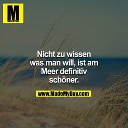 Nicht zu wissen was man will, ist am Meer definitiv schöner