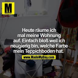 Heute räume ich mal meine Wohnung auf. Einfach bloß weil ich neugierig bin, welche Farbe mein Teppichboden hat. 