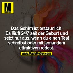 Das Gehirn ist erstaunlich. Es läuft 24/7 seit der Geburt & setzt nur aus wenn du einen Test schreibst oder mit jemandem