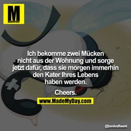 Ich bekomme zwei Mücken nicht aus der Wohnung und sorge jetzt dafür, dass sie morgen immerhin den Kater Ihres Lebens hab