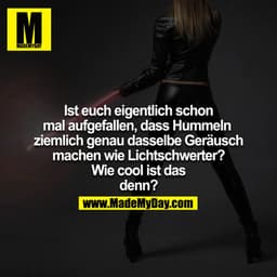 Ist Euch eigentlich schon mal aufgefallen, dass Hummeln ziemlich genau dasselbe Geräusch machen wie Lichtschwerter? Wie 