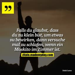 Falls du glaubst, dass du zu klein bist, um etwas zu bewirken, dann versuche mal zu schlafen, wenn ein Moskito im Zimmer