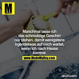 Manchmal lasse ich das schmutzige Geschirr nur stehen, damit wenigstens irgendetwas auf mich wartet, wenn ich nach Hause