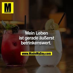 Mein Leben ist gerade äußerst betrinkenswert. 
