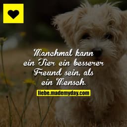 Manchmal kann ein Tier ein besserer Freund sein, als ein Mensch.