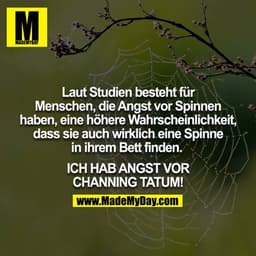 Laut Studien besteht für Menschen, die Angst vor Spinnen haben, eine höhere Wahrscheinlichkeit, dass sie auch wirklich e