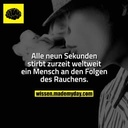 Alle neun Sekunden stirbt zurzeit weltweit ein Mensch an den Folgen des Rauchens.