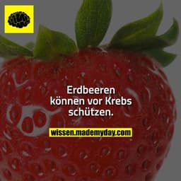 Erdbeeren können vor Krebs schützen.