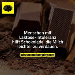 Menschen mit Laktose-Intoleranz hilft Schokolade, die Milch leichter zu verdauen.
