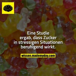 Eine Studie ergab, dass Zucker in stressigen Situationen beruhigend wirkt.