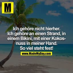 Ich gehöre nicht hierher. Ich gehöre an einen Strand, in einem Bikini, mit einer Kokusnuss in meiner Hand. So viel steht