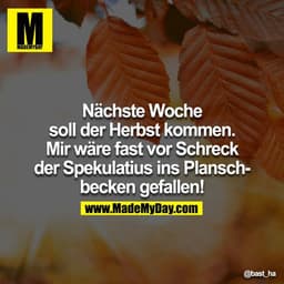 Nächste Woche soll der Herbst kommen. Mir wäre fast vor Schreck der Spekulatius ins Planschbecken gefallen!
