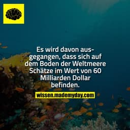 Es wird davon ausgegangen, dass sich auf dem Boden der Weltmeere Schätze im Wert von 60 Milliarden Dollar befinden.