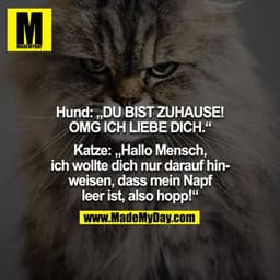 Hund: "DU BIST ZUHAUSE! OMG ICH LIEBE DICH"
Katze: " Hallo Mensch, ich wollte dich nur darauf hinweisen dass mein Napf l