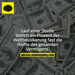 Laut einer Studie besitzt ein Prozent der Weltbevölkerung fast die Hälfte des gesamten Vermögens.