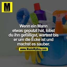 Wenn ein Mann etwas geputzt hat, lobst du ihn gefälligst, wartest bis er um die Ecke ist und machst es sauber
