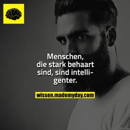 Menschen, die stark behaart sind, sind intelligenter.
