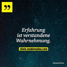 Erfahrung ist verstandene Wahrnehmung.