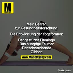 Mein Beitrag zur Gesundheitsforschung.

Die Entwicklung der Yogaformen:
Der gestürzte Flamingo
Das hungrige Faultier
Der