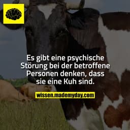 Es gibt eine psychische Störung bei der betroffene Personen denken, dass sie eine Kuh sind.
