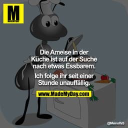 Die Ameise in der Küche, ist auf der Suche nach etwas Essbaren 
Ich folge ihr seit einer Stunde unauffällig