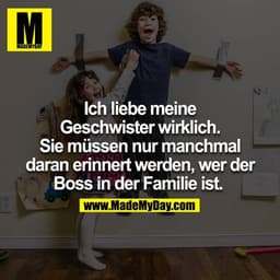 Ich liebe meine Geschwister wirklich.Sie müssen nur manchmal daran erinnert werden, wer der Boss in der Familie ist. 
