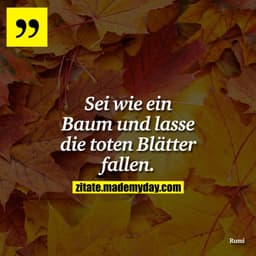 Sei wie ein Baum und lasse die toten Blätter fallen.