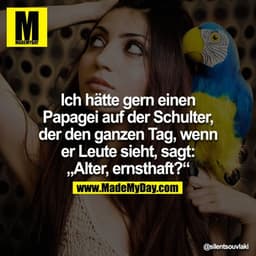 Ich hätte gerne einen Papagei auf der Schulter, der den ganzen Tag, wenn er Leute sieht, sagt: "Alter, ernsthaft??!"