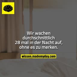 Wir wachen durchschnittlich 28 mal in der Nacht auf, ohne es zu merken.