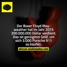 Der Boxer Floyd Mayweather hat im Jahr 2015 300.000.000 Dollar verdient. Das ist genügend Geld, um sich 3.000 Porsche 91