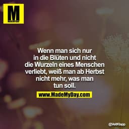 Wenn man sich nur in die Blüten und nicht die Wurzeln eines Menschen verliebt, weiß man ab Herbst nicht mehr, was man tu
