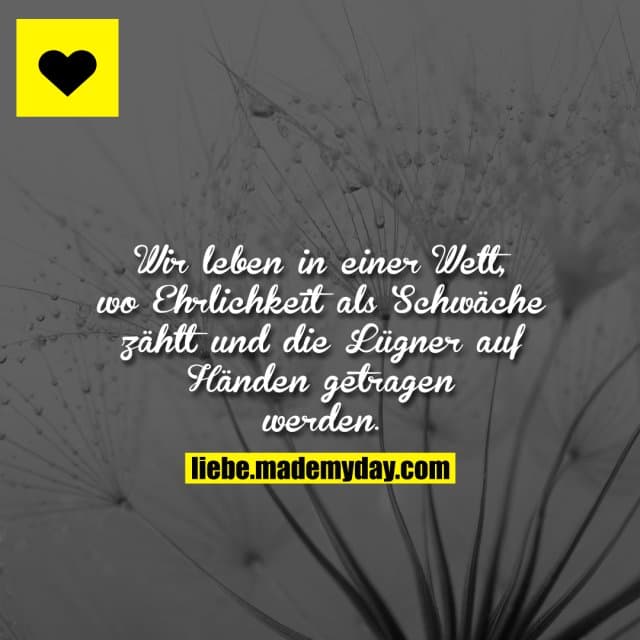 Wir leben in einer Welt, wo Ehrlichkeit als Schwäche zählt und die Lügner auf Händen getragen werden.