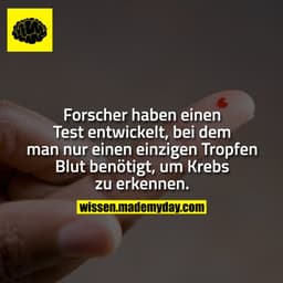Forscher haben einen Test entwickelt, bei dem man nur einen einzigen Tropfen Blut benötigt, um Krebs zu erkennen.