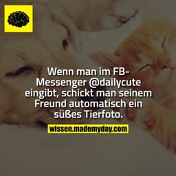 Wenn man im FB-Messenger @dailycute eingibt, schickt man seinem Freund automatisch ein süßes Tierfoto.
