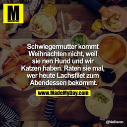 Schwiegermutter kommt Weihnachten nicht, weil sie nen Hund und wir Katzen haben. Raten sie mal, wer heute Lachsfilet zum