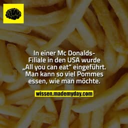 In einer Mc Donalds-Filiale in den USA wurde „All you can eat“ eingeführt. Man kann so viel Pommes essen, wie man möchte