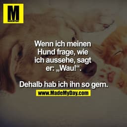 Wenn ich meinen Hund frage, wie ich aussehe, sagt er: "Wau!" Dehalb hab ich ihn so gern