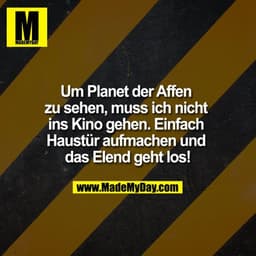 Um Planet der Affen zu sehen, muss ich nicht ins Kino gehen. Einfach Haustür aufmachen und das Elend geht los!
